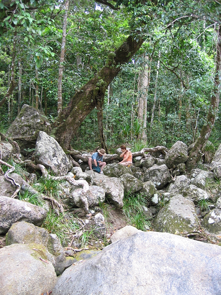 052 Mossman Gorge.jpg